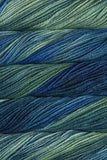 Malabrigo Rios