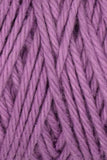 Queensland Collection Coastal Cotton