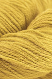 Cascade 220