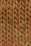 Noro Sonata