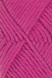 Queensland Collection Coastal Cotton