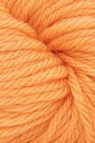 Cascade 220 Superwash Sport
