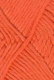 Queensland Collection Coastal Cotton