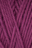 Queensland Collection Coastal Cotton