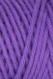 Queensland Collection Coastal Cotton