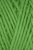 Queensland Collection Coastal Cotton