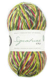 West Yorkshire Spinners Signature 4-ply