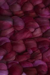 Malabrigo Nube